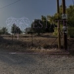 20954 4 1